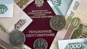 Чем заменить пенсию в Несте Ойл