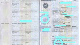 Что такое паспорт транспортного средства (ПТС) в Несте Ойл