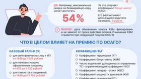 Из чего состоит ОСАГО в Несте Ойл