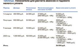 Как начислять налог УСН в Несте Ойл