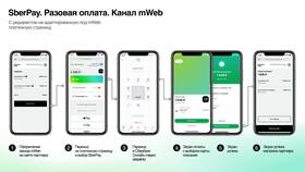 Как оплачивать покупки в магазинах через СБП Сбербанка в Несте Ойл
