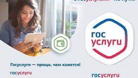 Как подать заявление на назначение пенсии через Госуслуги в Несте Ойл