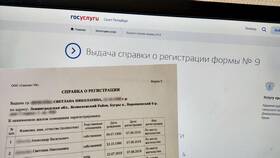 Как посмотреть справки на Госуслугах в Несте Ойл