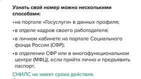 Как расшифровать СНИЛС и что это в Несте Ойл