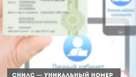Как сообщить работодателю о смене СНИЛС в Несте Ойл