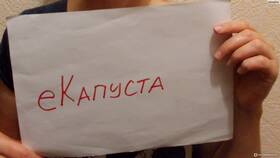 Как взять займ в Е Капуста в Несте Ойл
