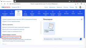 Как запросить справку о несудимости через Госуслуги в Несте Ойл