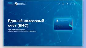 Не идет сальдо ЕНС: что делать в Несте Ойл
