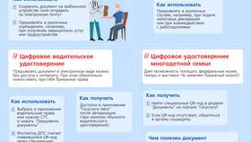 Почему Госуслуги не являются документом, удостоверяющим личность в Несте Ойл