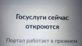 Почему Госуслуги работают с перебоями в Несте Ойл