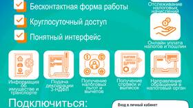 Почему не отображается ИНН в Госуслугах в Несте Ойл