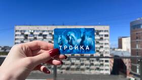 Пополнил Тройку, а денег нет: что делать в Несте Ойл