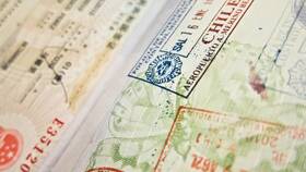 Правильная процедура отката визы в Несте Ойл