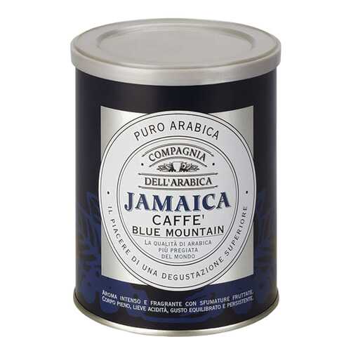 Кофе Compagnia DellArabica Jamaica Blue Mountain молотый 250 г в Несте Ойл