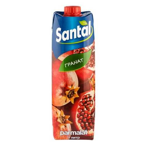 Напиток сокосодержащий Santal гранат 1 л в Несте Ойл